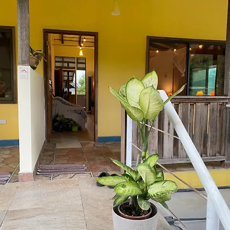 Pura Vida Boutique Apartments Puerto Viejo de Talamanca Exterior photo