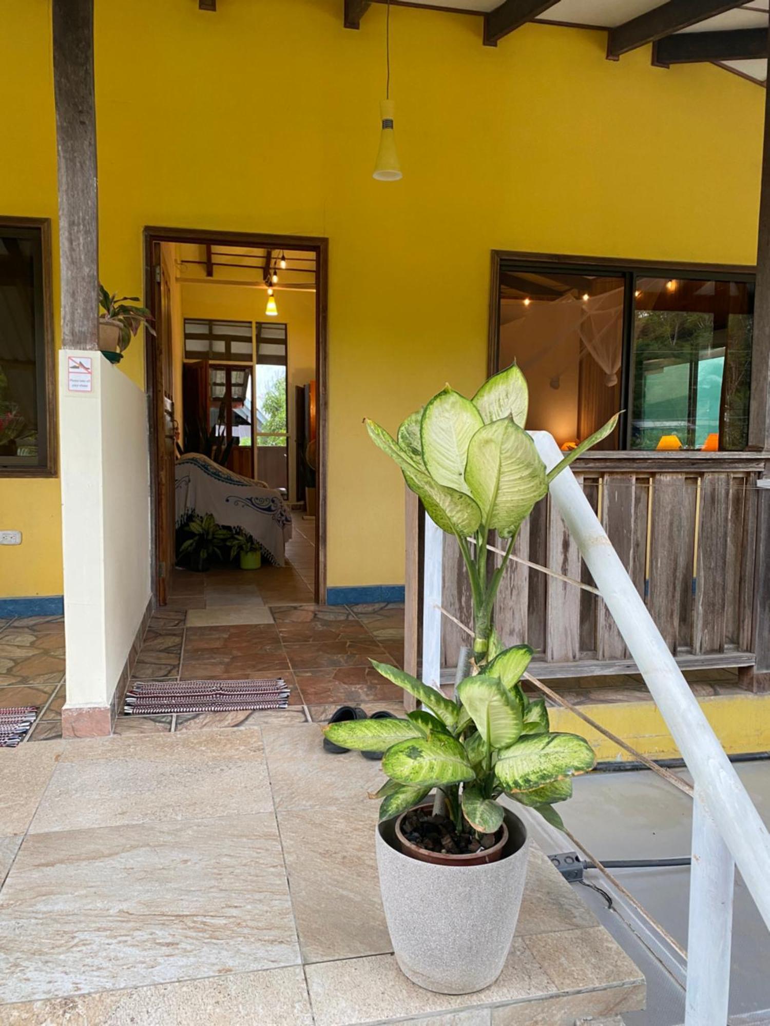 Pura Vida Boutique Apartment